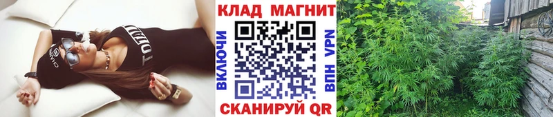 Как найти закладки Джанкой Марихуана Псилоцибиновые грибы ГАШ Меф Амфетамин