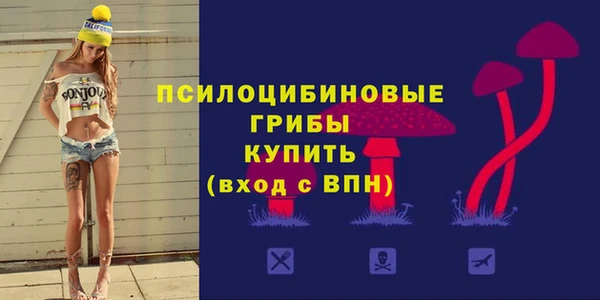 индика Алексин