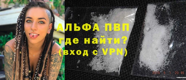 индика Алексин