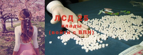 индика Алексин