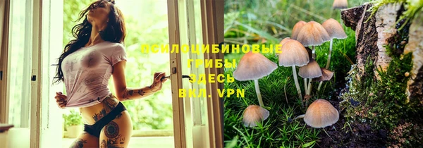 дистиллят марихуана Алзамай