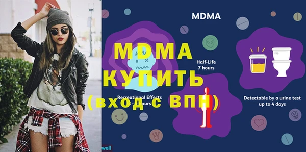 индика Алексин